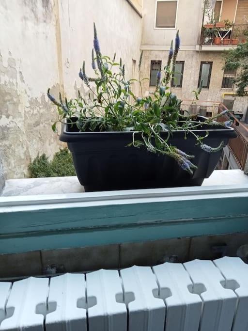Apartament Il Grande Blu Mediolan Zewnętrze zdjęcie