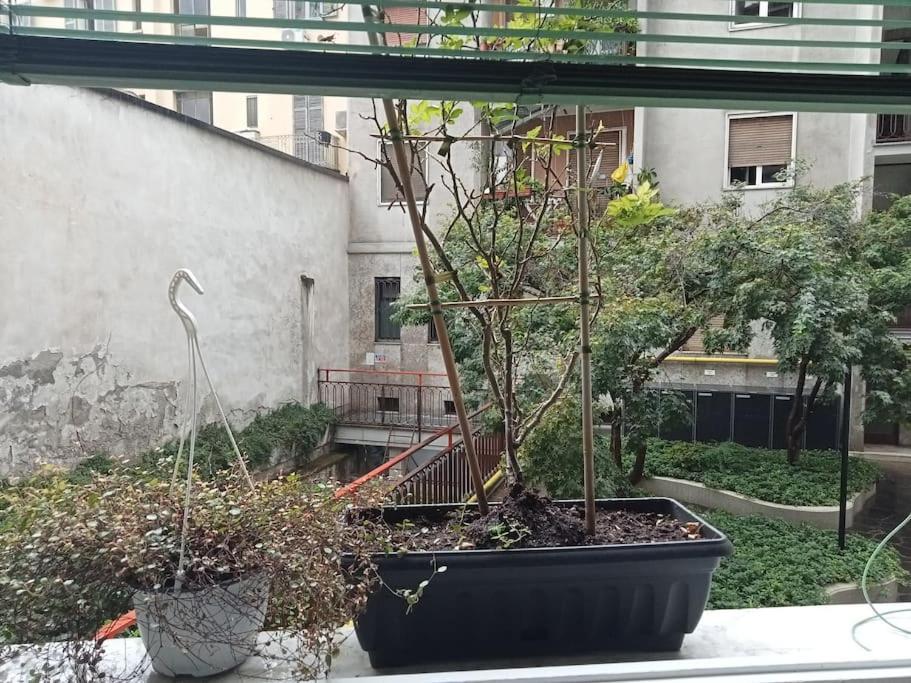Apartament Il Grande Blu Mediolan Zewnętrze zdjęcie